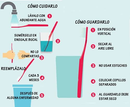 Cuidado del cepillo dental