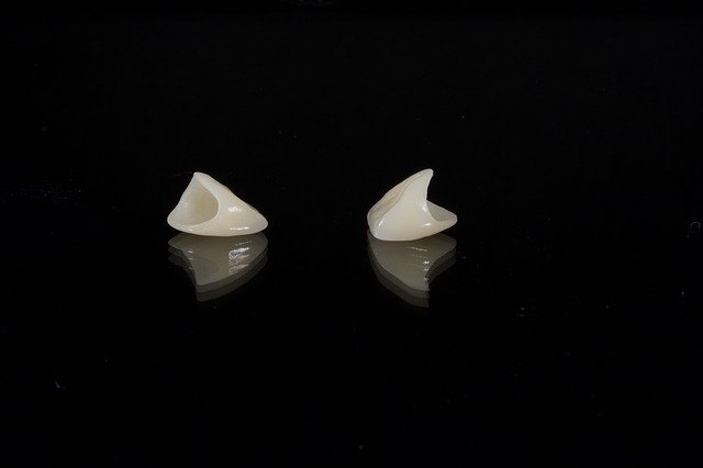 fundas dentales
