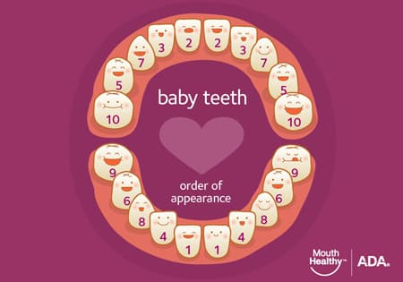 dientes de bebes (1)