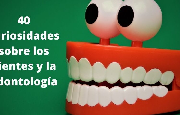 40 curiosidades sobre los dientes y la odontología