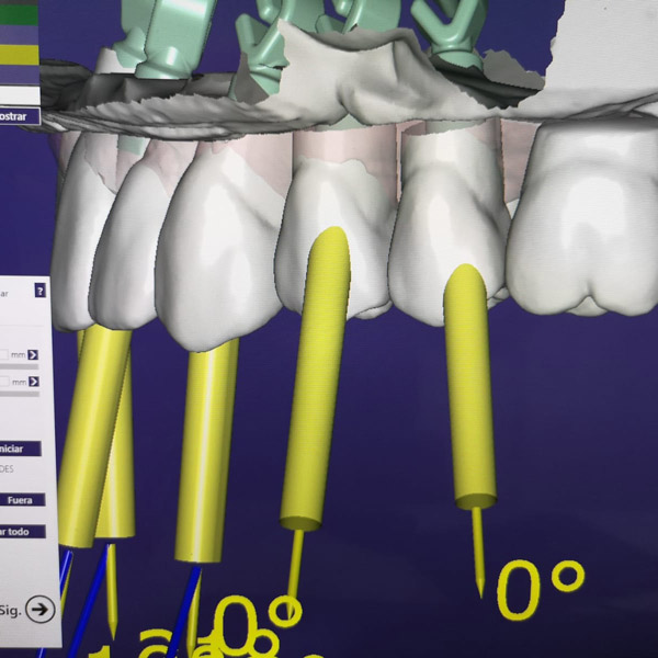 Javier S. C. Javier S. C.