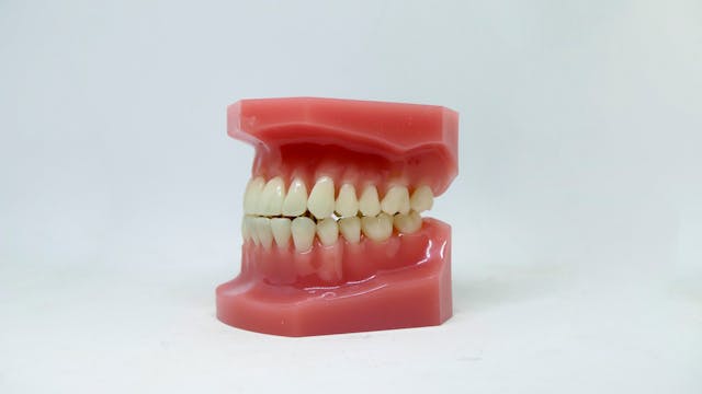 empaste dental